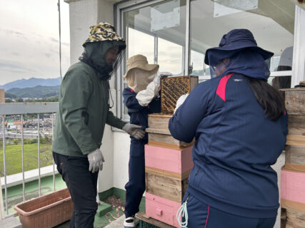 努力の結晶「女子商ハニー」誕生！屋上で採蜜会を実施しました！