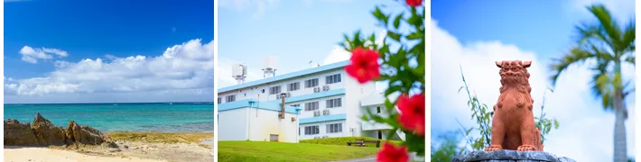 なぜ、沖縄なのか？