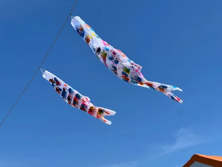 フォトギャラリー16