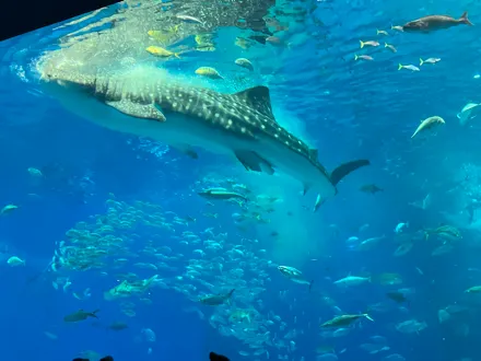 フォトギャラリー2