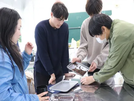 フォトギャラリー2