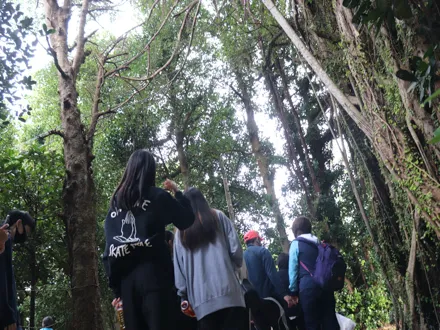 フォトギャラリー12