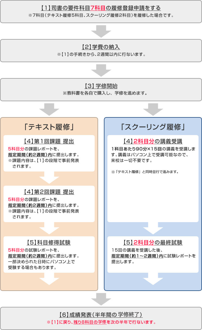 資格取得までの流れ（1年で資格取得を目指す）