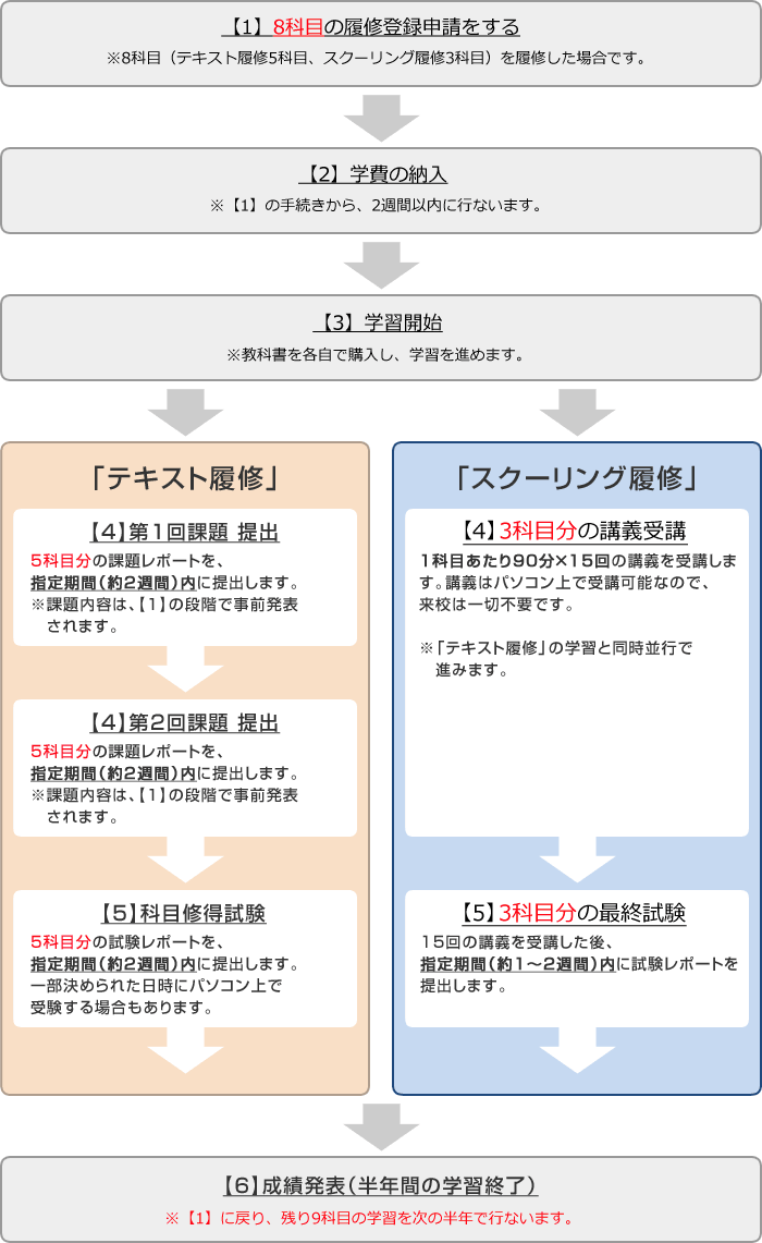 資格取得までの流れ（1年で資格取得を目指す）